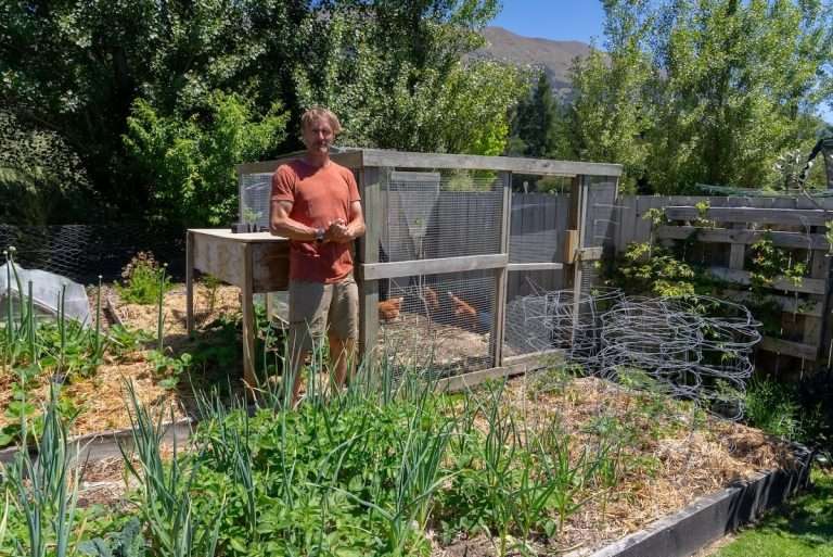 Chicken coop