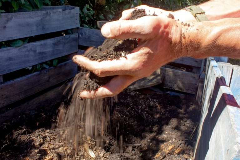 Dr Compost's hands showing the compost from his cold composting system